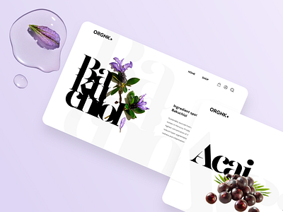 ORGNK shop: Ingredient spotlight 2 app appdesign clean ui clean ui ux cosmetics dailyui dailyuichallenge design dribbblers gfxmob ingredients luxury luxury design picture typograhy user experience userexperience userinterface website