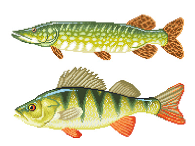 Pixel Art character design fish fish illustration graphicdesign green illustration perch pike pixelart pixelartist pixels