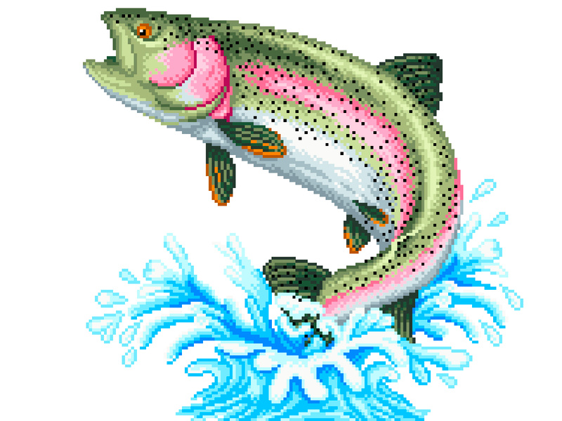 Julia Grishko Dribbble