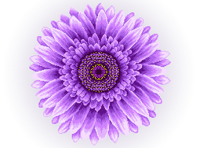 Pixel Art colors design flower flower illustration gradient graphicdesign illustration illustration art pixelart pixelartist pixels violet