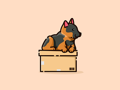 Dog and Box