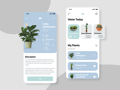 Concept Water Plant App alarm application concept design figma flower interface mobile plant plants portfolio reminder ui ux water watering