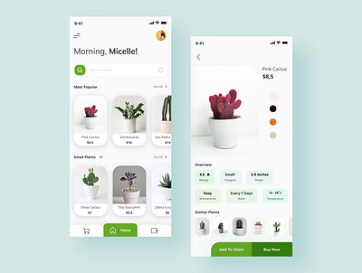 Plant Shop App app design flower indoor mobile mobile app mobile design mobile ui plant plant shop app shopping app typography ui ux