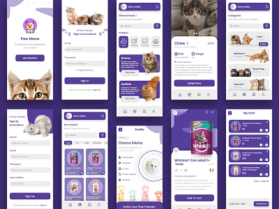 Cat Pet Shop Design