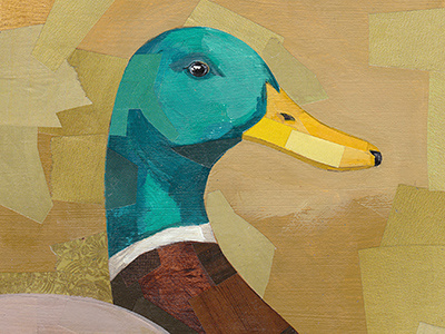 Mallard bird collage darren booth illustration painted quack