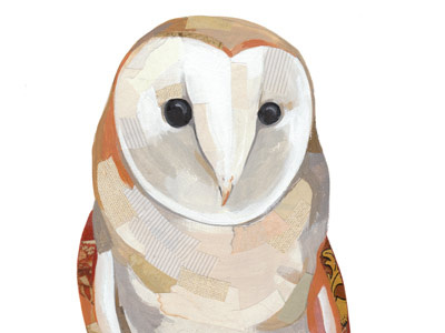 Barn owl animal barn collage illustration muted owl