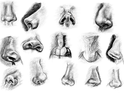 Nose exercise art design procreate procreate art