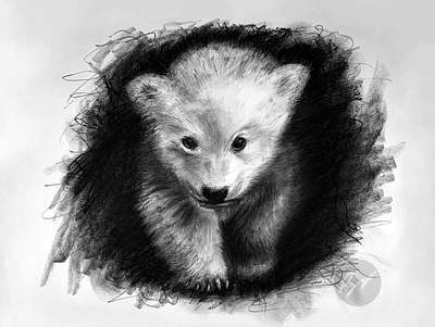 Charcoal drawing of a polar bear cub abstract animal animaldrawing art arte artist artwork beautiful charcoal charcoalart cute draw drawing expressiveart happy illustration sketch style traditionalart