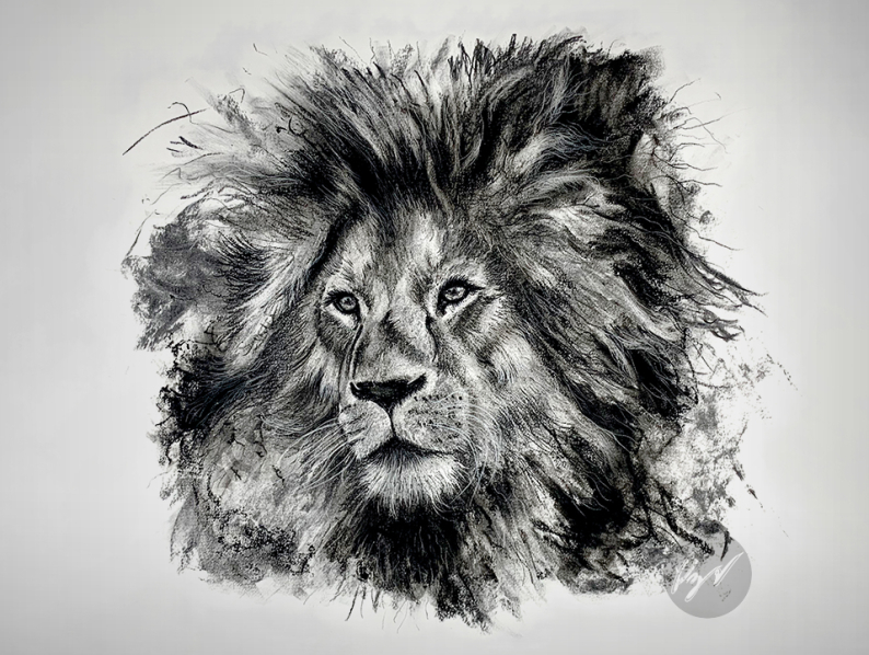 Realistic pencil drawing of a lion by... - Milton Art Classes | Facebook