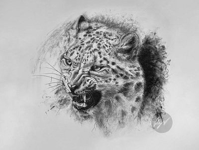 Charcoal drawing of a Leopard camouflagedfur
