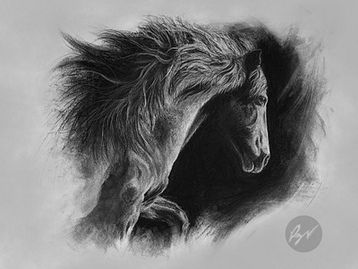 Charcoal drawing of a Peruvian Paso Horse lapiz pencil drawing