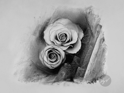 Charcoal drawing of Rose flowers art charcoal desenho dibujo drawing flor flora flower garden pencil petals plant planta rose stems thorns