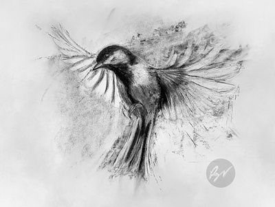Charcoal drawing of a great tit flying animal art arte ave bird charcoal desenho dibujo drawing pajaro