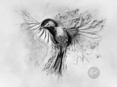 Charcoal drawing of a great tit flying