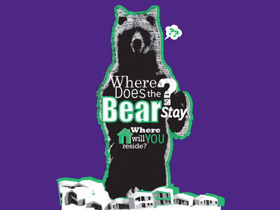 Where Does The Bear Stay