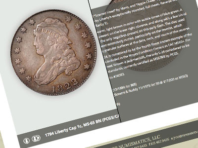 Numismatics coins icons responsive web design