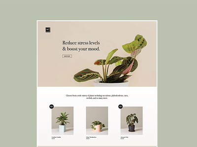 Landing Page Design clean conceptdesign design figma landingpage minimal plants ui webdesign