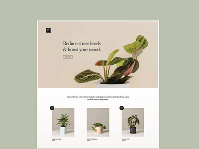 Landing Page Design