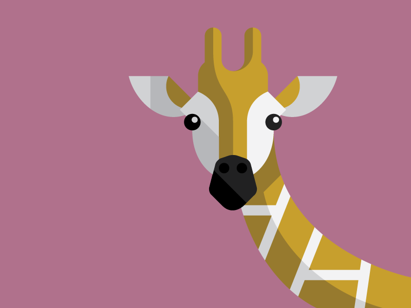 1 giraffe