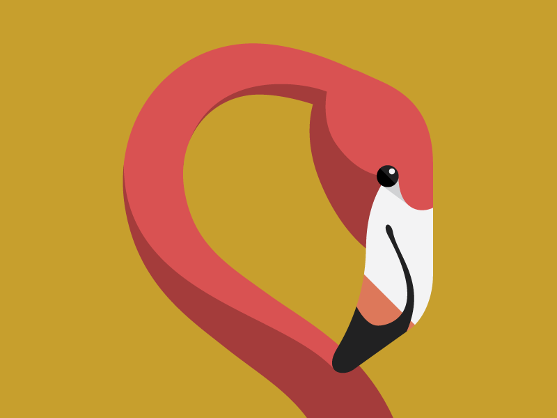 Flamingo tall chess chess app iphone flamingo