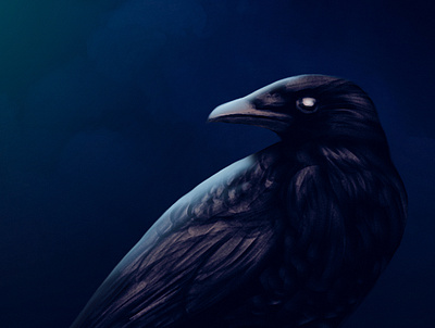 Raven cg crow drawling horror illustration painting raven