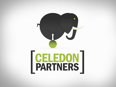 Celedon Partners Rebrand