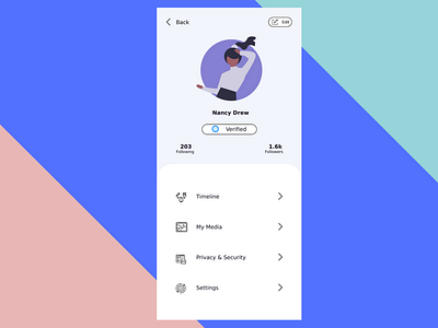 User Profile UI