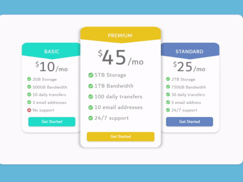 Pricing Plan [Interaction] ui ux interaction