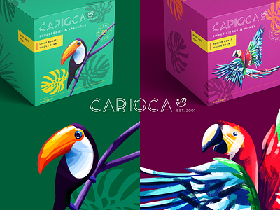 Carioca Packaging brand brand design brand identity branding brazil coffee illustration package packaging packaging design parrot procreate toucan