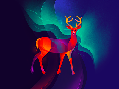 Deer