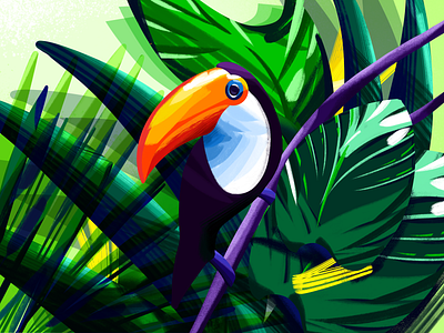 Toucan art bright colorful forest illustration nature procreate toucan tropical