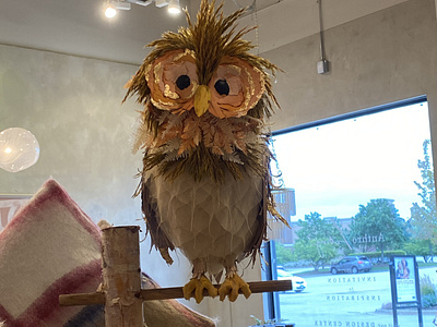 Anthropologie Fall 2021 Owl