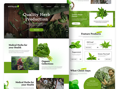 Herbs landing page design health herbs herbs landing page herbswebsite layout nature shop ui ux web weblayout
