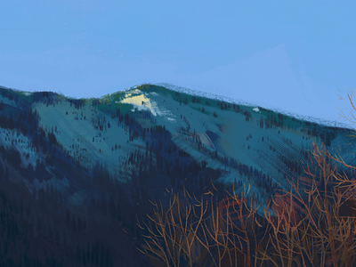 Mountain