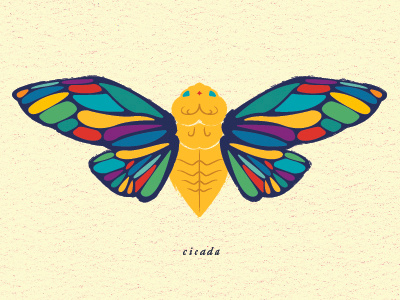 Cicada bug cicada illustration multicolored rainbow wings