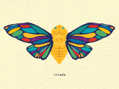 Cicada