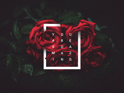 You Are So Amazing! cover iphone macbook phone red roses skin sticker