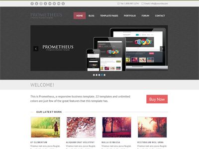 Prometheus - A Responsive WordPress Theme