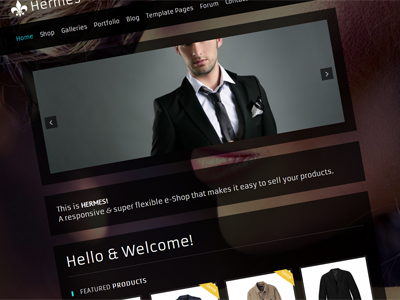 Hermes - e-Commerce WordPress Theme