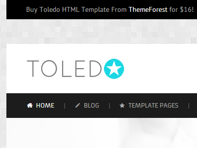 Toledo - Responsive & Super Flexible Theme business html template website