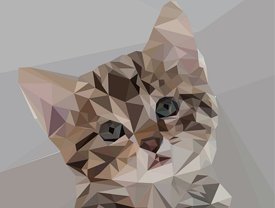 Low poly cat cat gato illustration ilustration low poly lowpoly