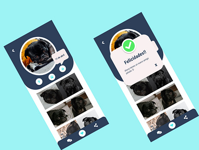 Flash Message dailyui dog flash message movil ui ux ux ui ux design uxdesign