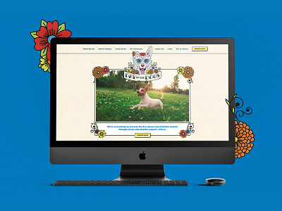 Day of The Dogs marketing collateral outreach tools visual identity website