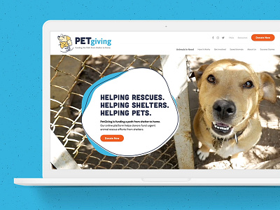 PetGiving Identity social media design