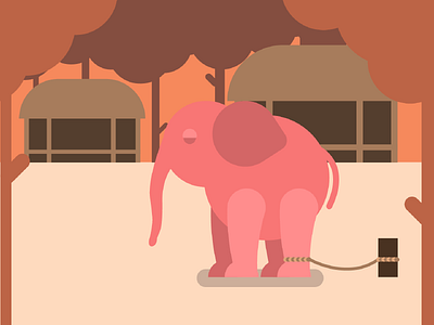 Elephant camp after effects animation art cartoon character design clean concept creative flat flat design illustration illustrations