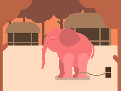 Elephant camp