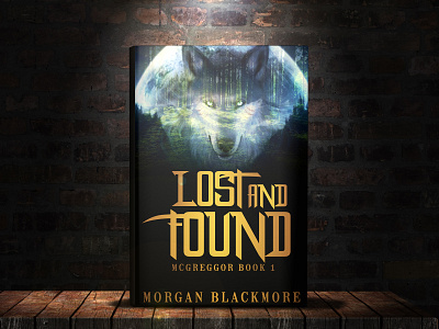 Lost and found book cover design