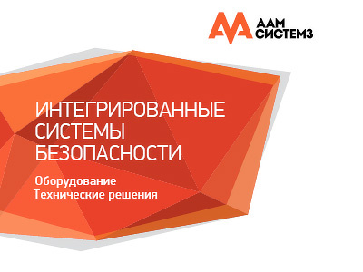 AAM Systems Brochure Cover brochure design origami print design red security