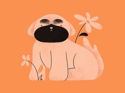 Hardy art blog illustration character color pallet dog doodle flat illustration illustration orange pet procreate shih tzu texture