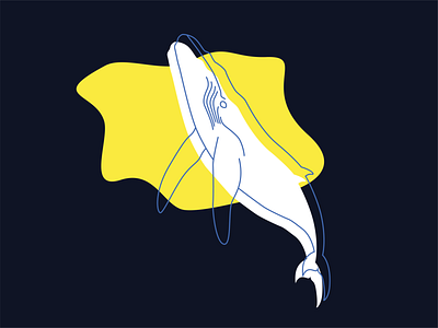 Whale Illustration flat illustration line illustration minimal minimal illustration outline vector whale